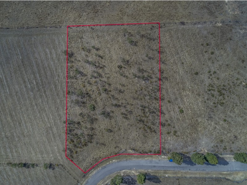 Lot 46, 17 Spring Harvest Close, Pokolbin NSW 2320