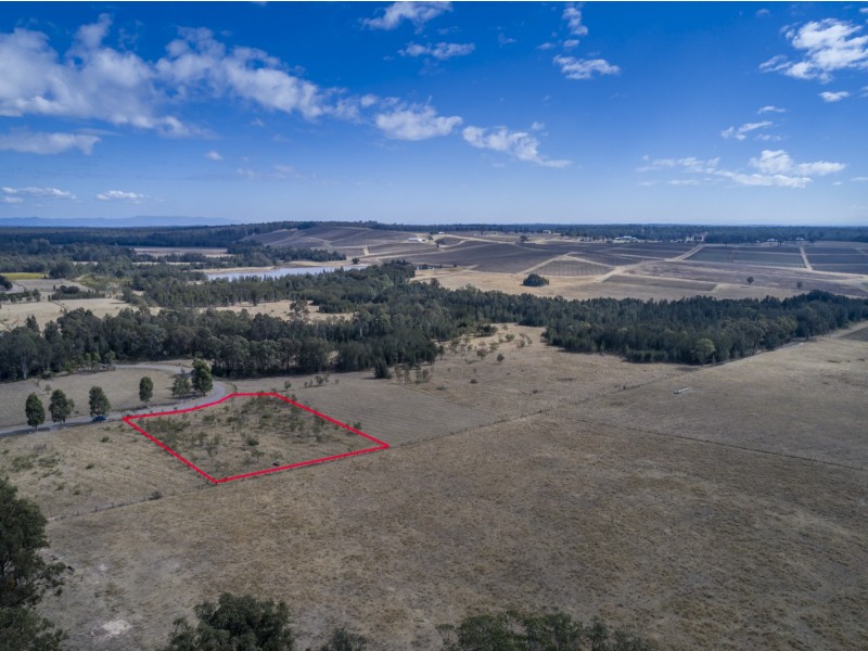 Lot 46, 17 Spring Harvest Close, Pokolbin NSW 2320