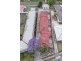 2 & 3/304 Maitland Road, Cessnock NSW 2325