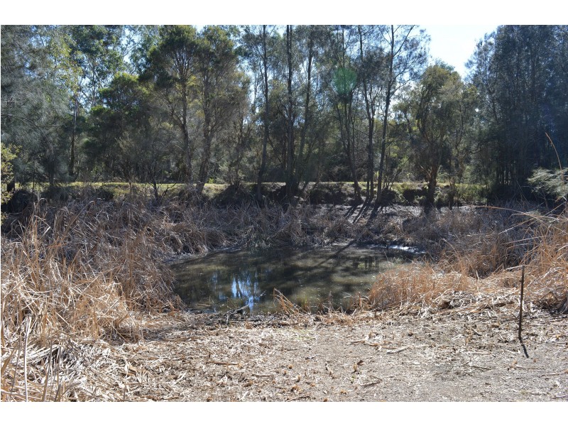 56 – 58 Rugby Street, Ellalong NSW 2325