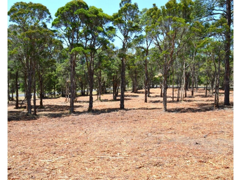 706 Sandy Creek Road, Quorrobolong NSW 2325