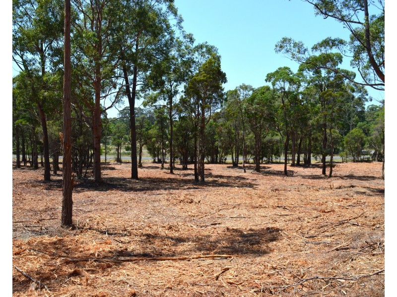 706 Sandy Creek Road, Quorrobolong NSW 2325