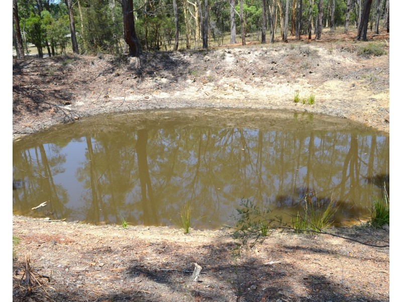 706 Sandy Creek Road, Quorrobolong NSW 2325