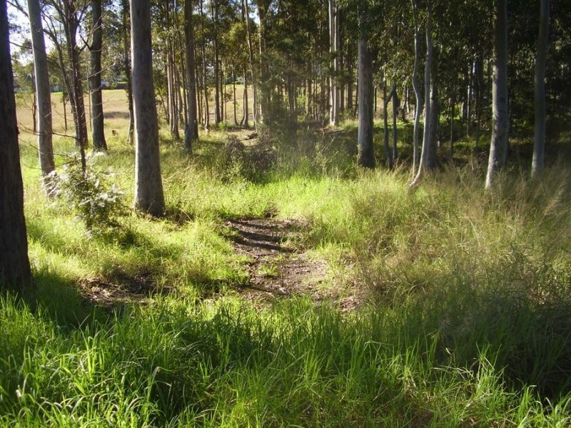 19 Reid Street, North Rothbury NSW 2335