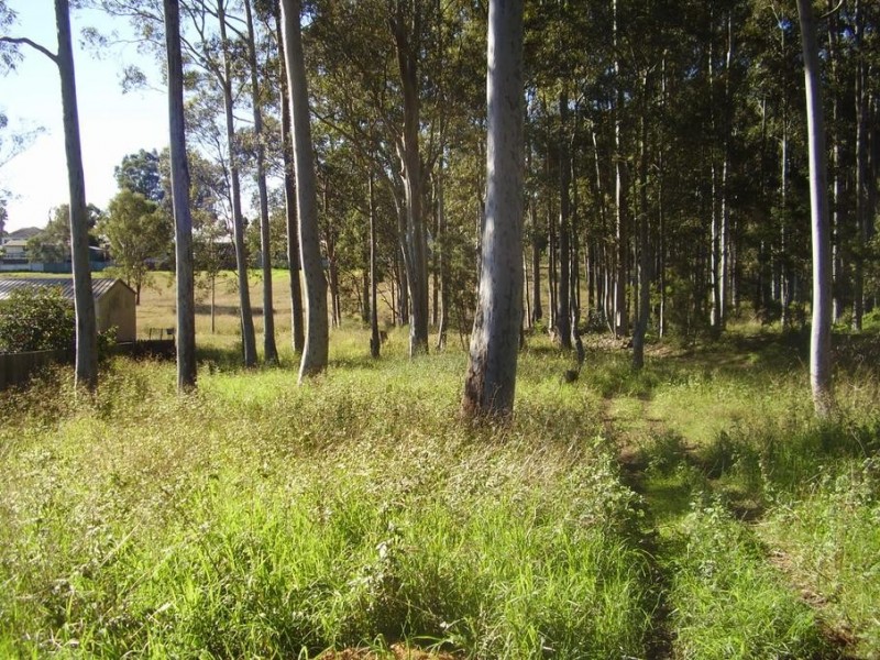 19 Reid Street, North Rothbury NSW 2335