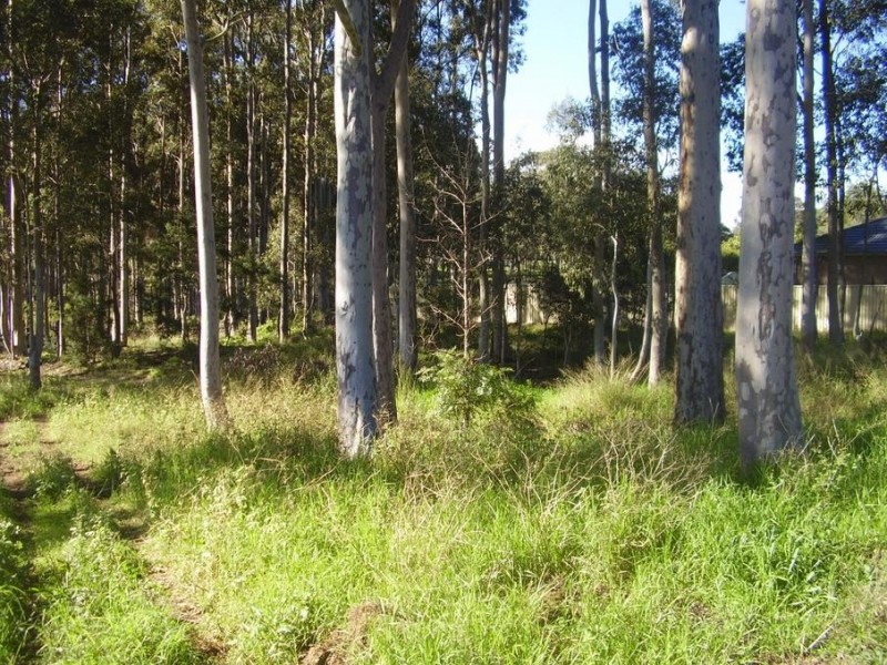 19 Reid Street, North Rothbury NSW 2335