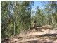 181 Thursbys Road, Congewai NSW 2325