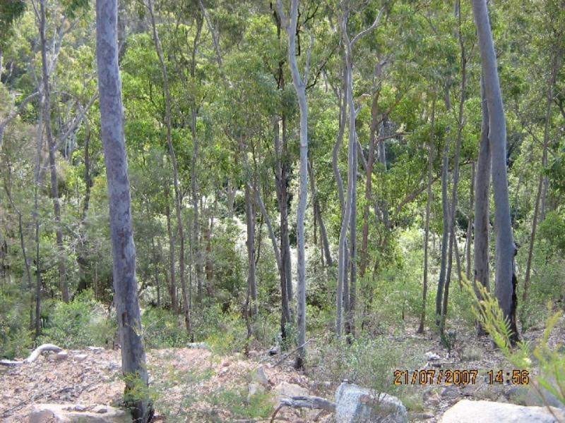 181 Thursbys Road, Congewai NSW 2325