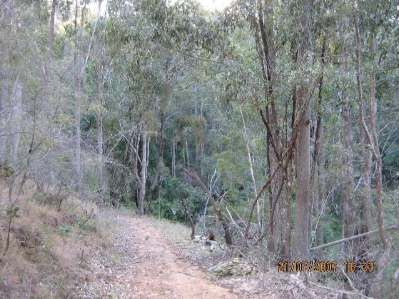 181 Thursbys Road, Congewai NSW 2325