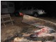 Congewai NSW 2325