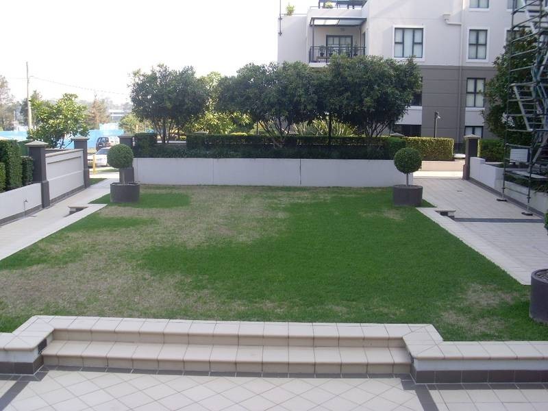 12/141 Bowden Street, Meadowbank NSW 2114