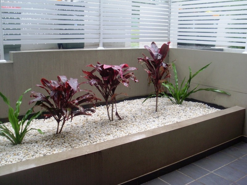 8/19-21 Telopea Street, Telopea NSW 2117