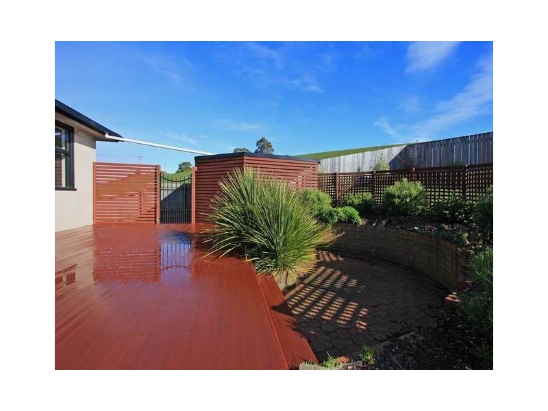 650 Ridgley Highway, Ridgley TAS 7321