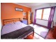 Yolla TAS 7325