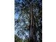 Wynyard TAS 7325