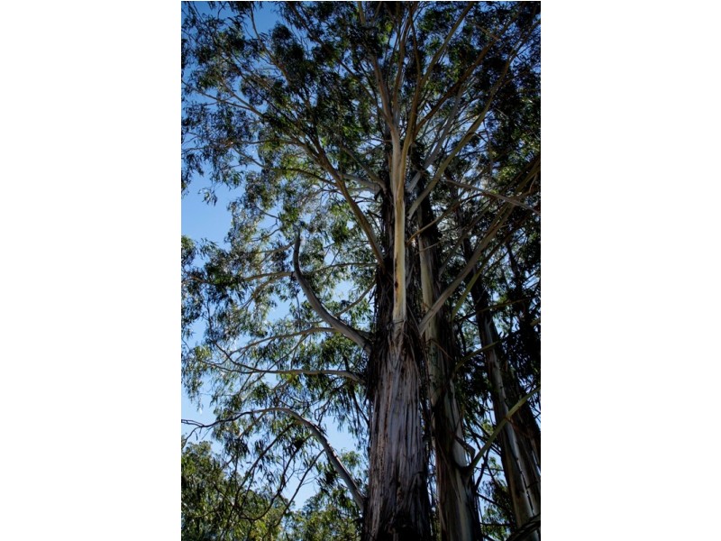 Wynyard TAS 7325