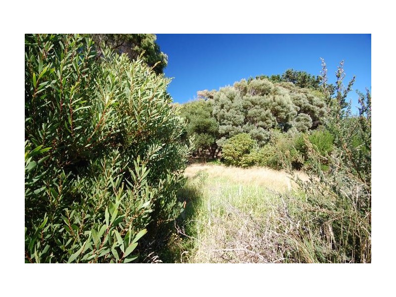 Sisters Beach TAS 7321