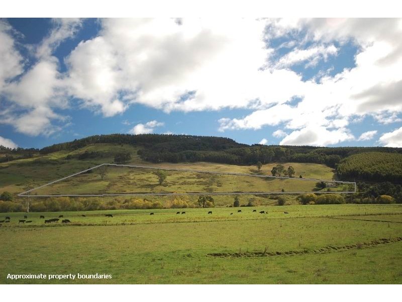 Gunns Plains TAS 7315