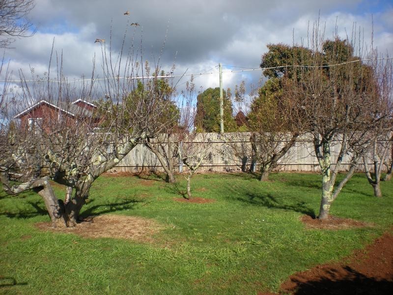 343 Stowport Road, Stowport TAS 7321