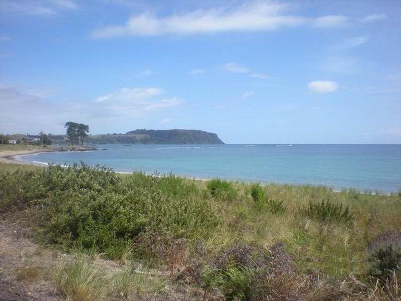 117 Old Bass Highway, Wynyard TAS 7325