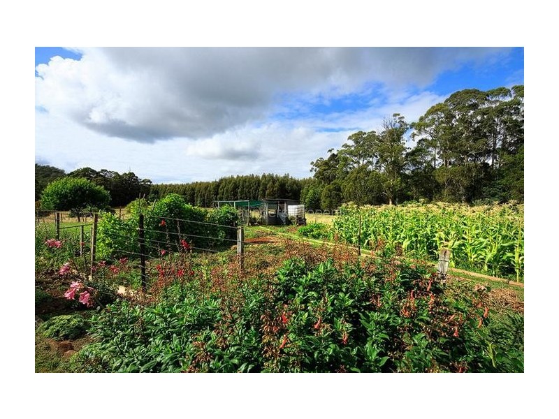 Elizabeth Town TAS 7304