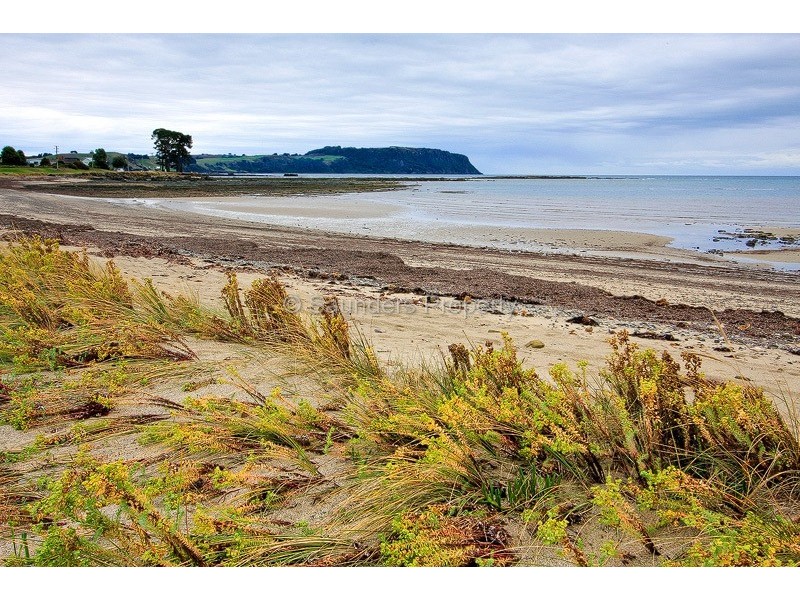 119 Old Bass Highway, Wynyard TAS 7325