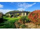 Sulphur Creek TAS 7316