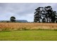 48 Shires Lane, Wynyard TAS 7325