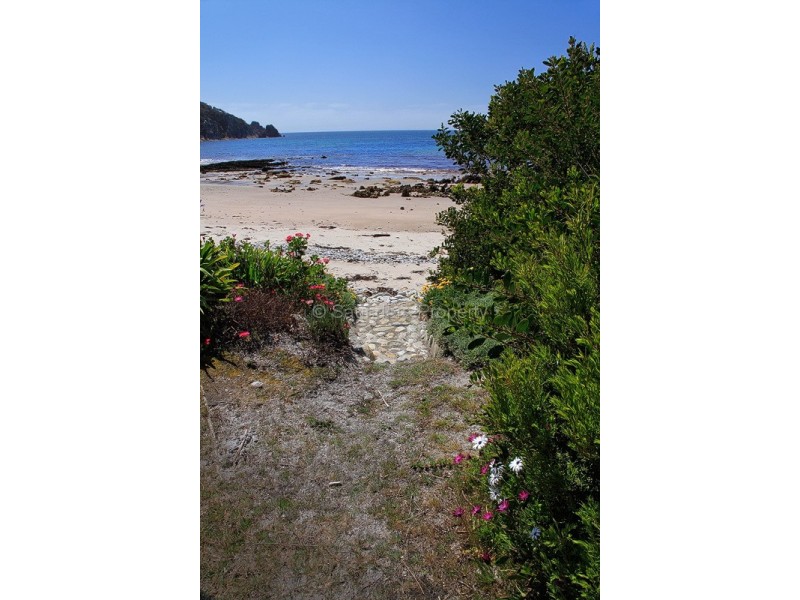 Sisters Beach TAS 7321
