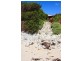 Sisters Beach TAS 7321
