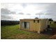 1260 Ridgley Highway, Ridgley TAS 7321