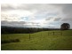 1260 Ridgley Highway, Ridgley TAS 7321