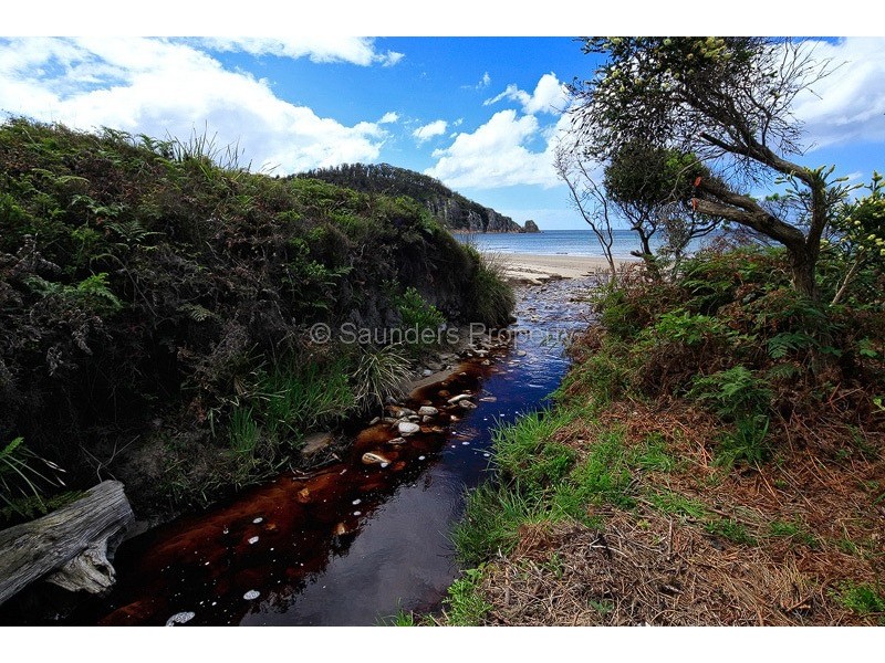 Sisters Beach TAS 7321