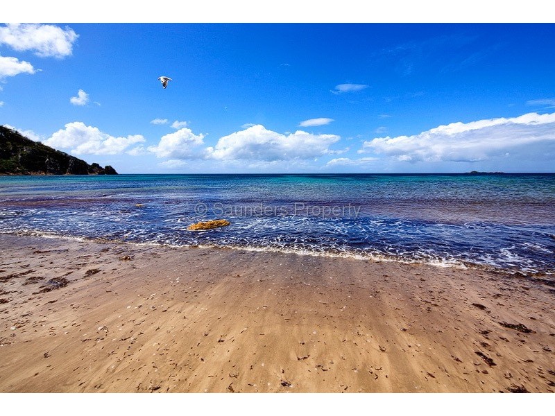 Sisters Beach TAS 7321