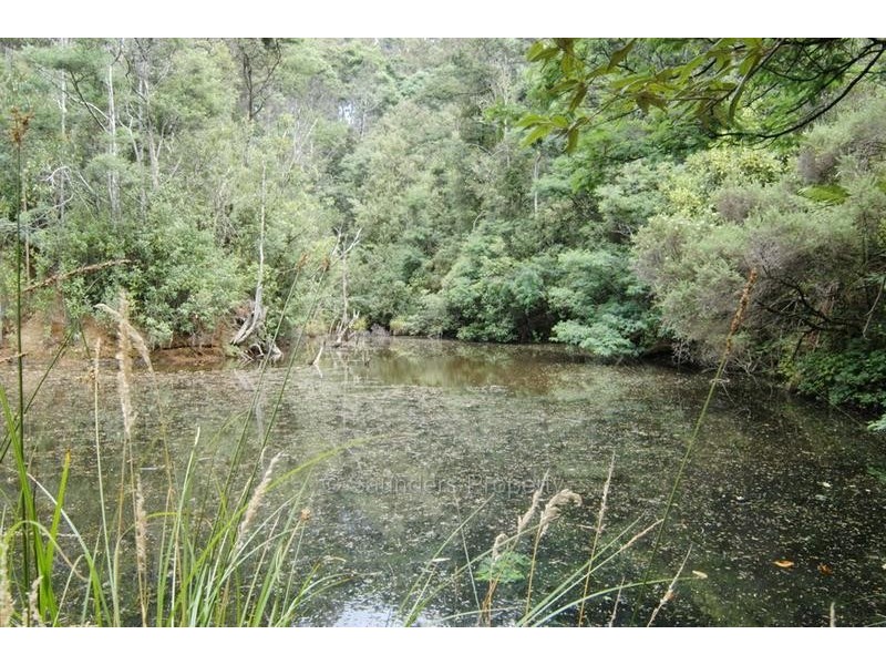 Lower Wilmot TAS 7310