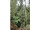 Lower Wilmot TAS 7310