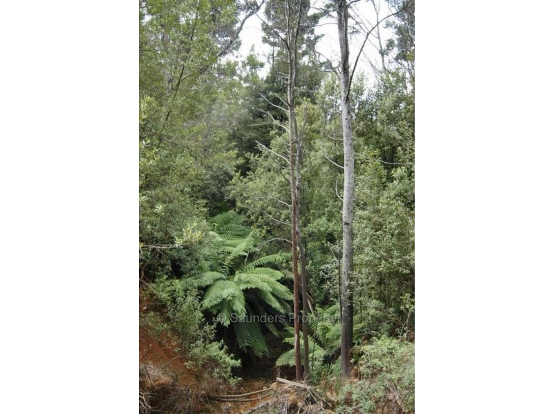 Lower Wilmot TAS 7310