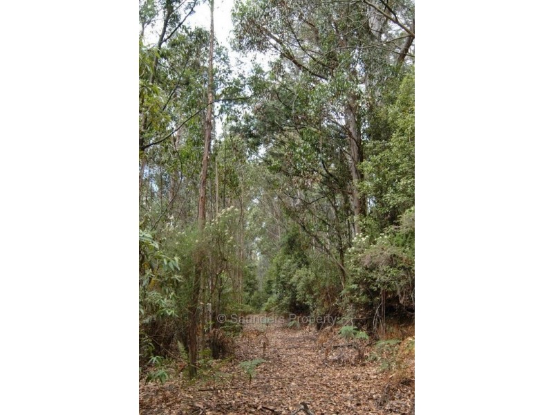 Lower Wilmot TAS 7310