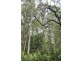 Lower Wilmot TAS 7310