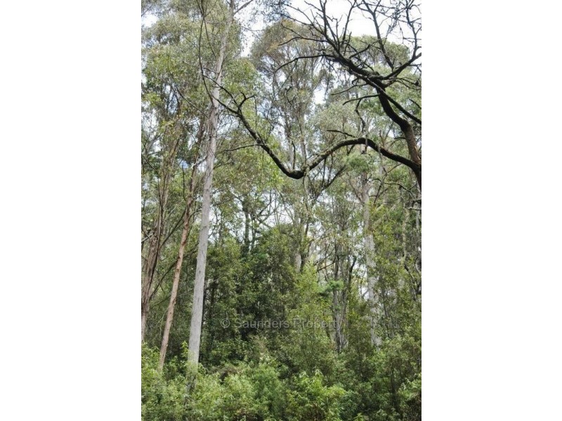 Lower Wilmot TAS 7310