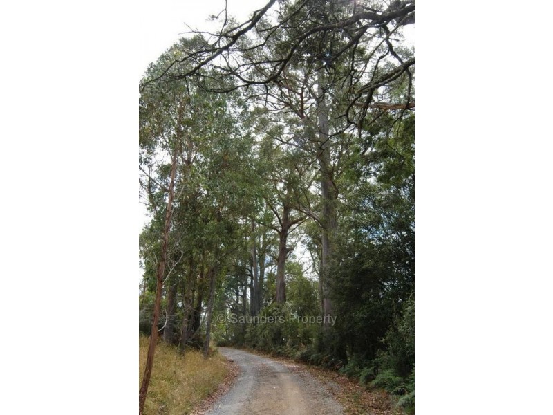 Lower Wilmot TAS 7310