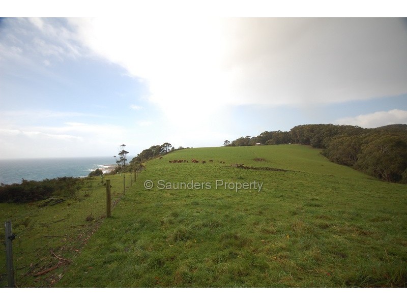 Sisters Beach TAS 7321