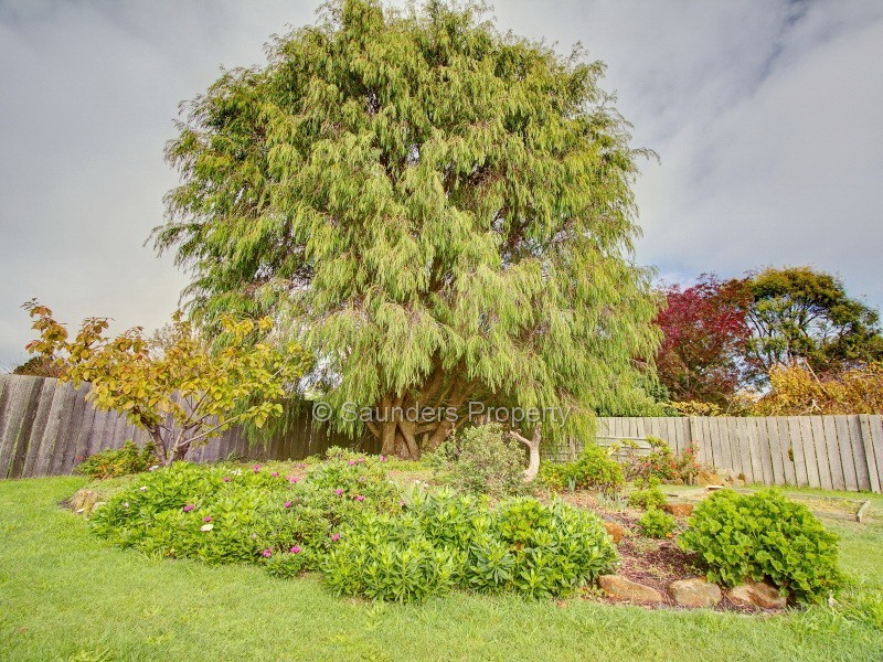 Somerset TAS 7322