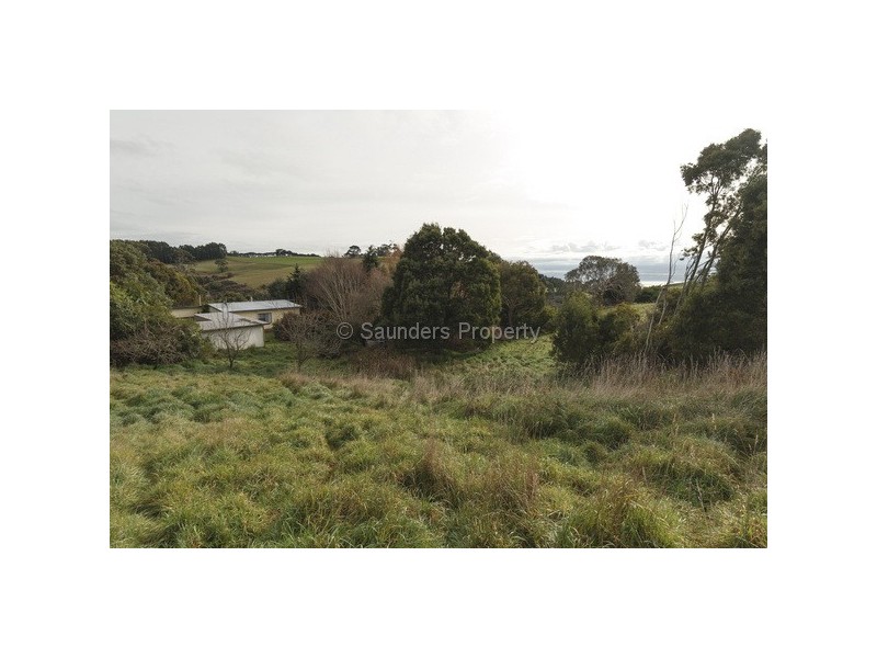 Sulphur Creek TAS 7316