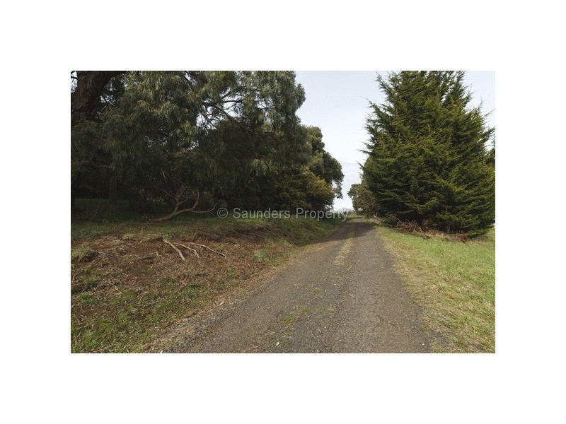 Sulphur Creek TAS 7316