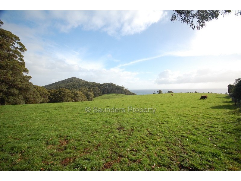 Sisters Beach TAS 7321