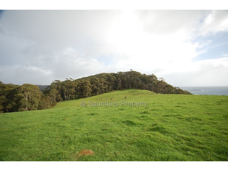 Sisters Beach TAS 7321