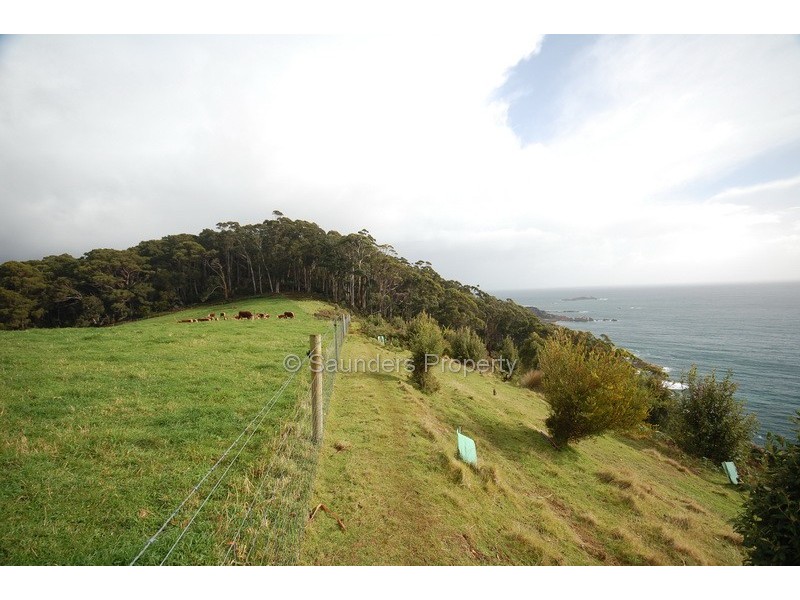 Sisters Beach TAS 7321