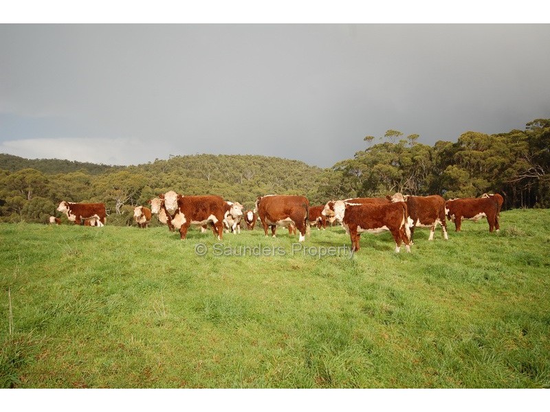 Sisters Beach TAS 7321