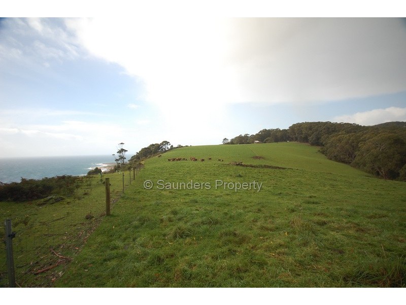 Sisters Beach TAS 7321